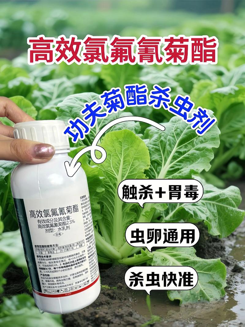 上海代生中心:农药对供卵代生妈妈的危害